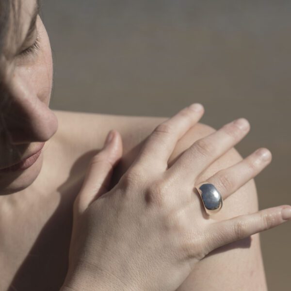 Simple Ring No2